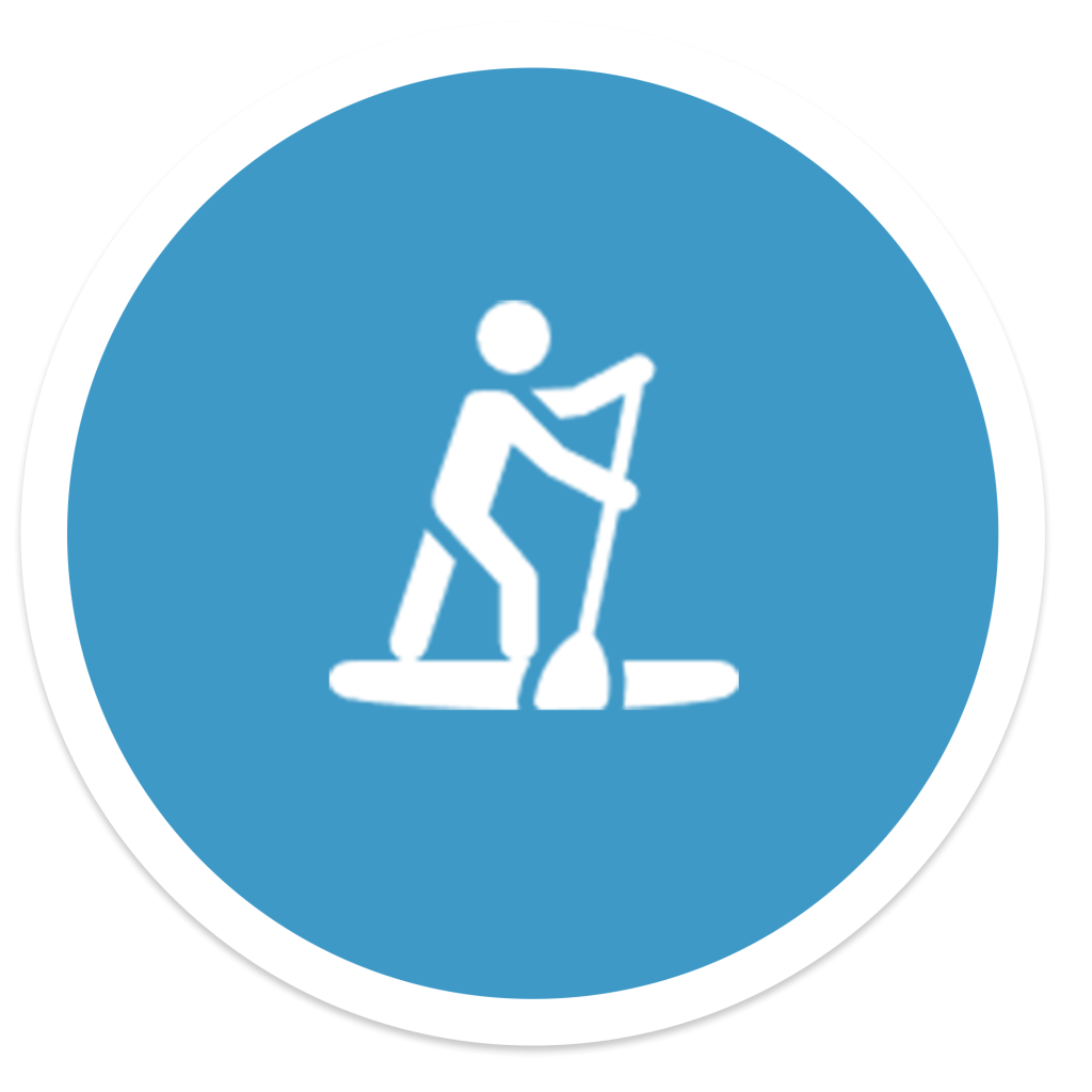 PADDLE logo bleu